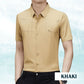 Heren Ice Silk Business Shirt